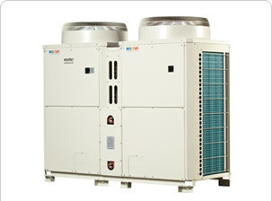 A typical commercial Air Source Heat Pump
